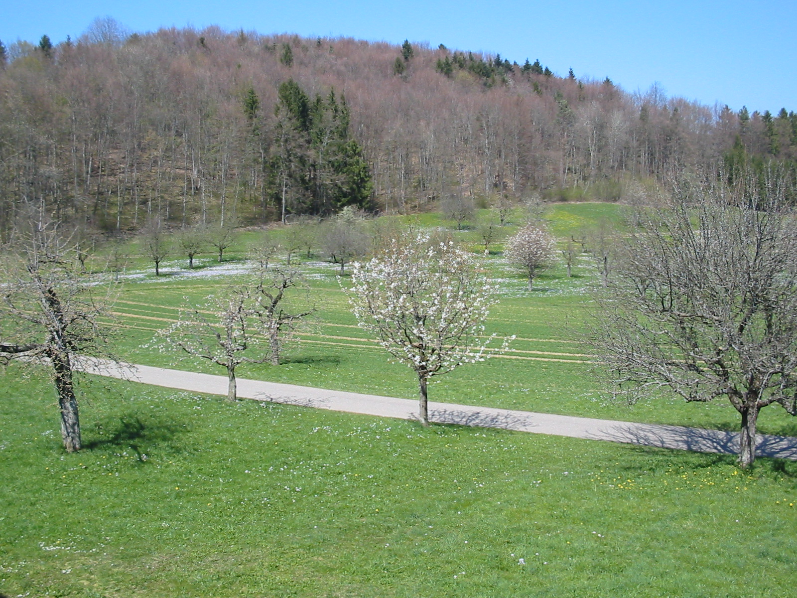 Wanderweg zum Museum im Frühjahr