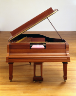 Ala di Steinway Welte